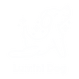 luminidog